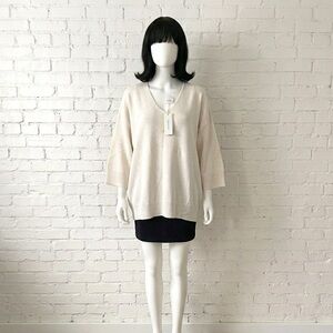 Wilfred Souvenir bnwt V-Neck Sweater